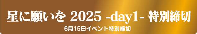 JUNE BRIDE FES 2024